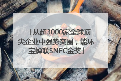 从超3000家全球顶尖企业中强势突围，能环宝蝉联SNEC金奖