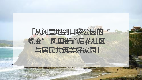 从闲置地到口袋公园的“蝶变” 凤里街道后花社区与居民共筑美好家园