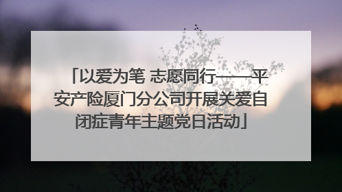 以爱为笔 志愿同行——平安产险厦门分公司开展关爱自闭症青年主题党日活动