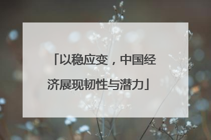 以稳应变，中国经济展现韧性与潜力