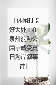 休闲打卡好去处！在泉州滨海公园，感受夏日海岸叙事诗