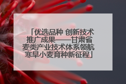 优选品种 创新技术 推广成果——甘肃省麦类产业技术体系领航寒旱小麦育种新征程