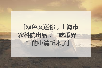 双色又迷你，上海市农科院出品，“吃瓜界”的小清新来了
