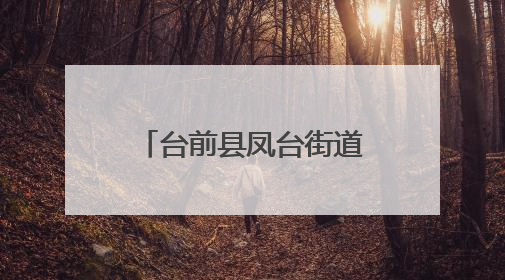 台前县凤台街道：党建引领织密防火网 干群携手共护家园安