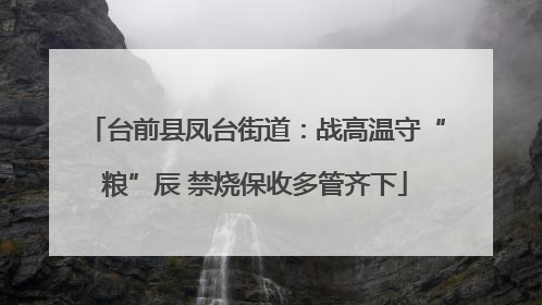 台前县凤台街道：战高温守“粮”辰 禁烧保收多管齐下