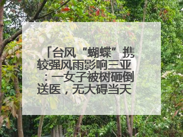 台风“蝴蝶”携较强风雨影响三亚：一女子被树砸倒送医，无大碍当天回家 当地已紧急清障