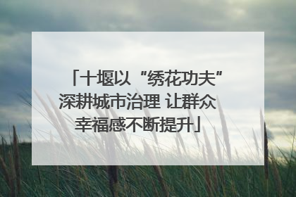 十堰以“绣花功夫”深耕城市治理 让群众幸福感不断提升