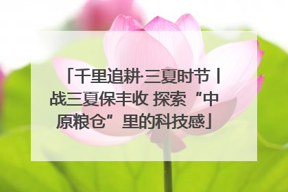 千里追耕·三夏时节丨战三夏保丰收 探索“中原粮仓”里的科技感