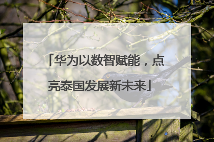 华为以数智赋能，点亮泰国发展新未来