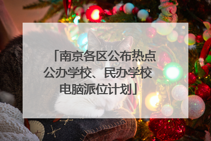 南京各区公布热点公办学校、民办学校电脑派位计划