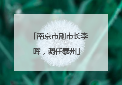 南京市副市长李晖，调任泰州
