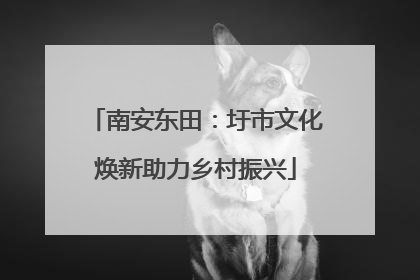 南安东田：圩市文化焕新助力乡村振兴