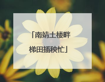 南靖土楼畔 梯田插秧忙