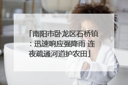 南阳市卧龙区石桥镇：迅速响应强降雨 连夜疏通河道护农田