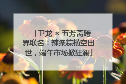 卫龙 × 五芳斋跨界联名：辣条粽横空出世，端午市场掀狂澜