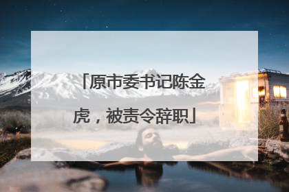 原市委书记陈金虎，被责令辞职