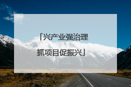 兴产业强治理 抓项目促振兴
