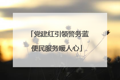 党建红引领警务蓝 便民服务暖人心