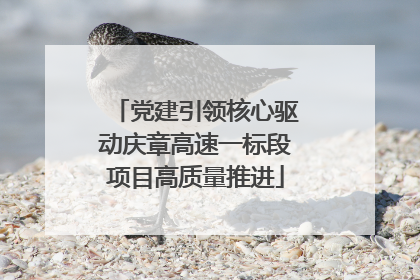 党建引领核心驱动庆章高速一标段项目高质量推进