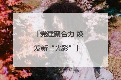 党建聚合力 焕发新“光彩”