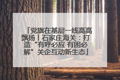党旗在基层一线高高飘扬丨石家庄海关：打造“有呼必应 有困必解”关企互动新生态