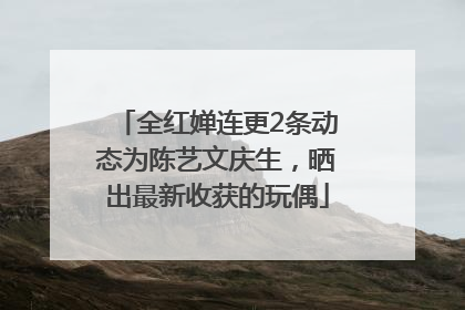 全红婵连更2条动态为陈艺文庆生，晒出最新收获的玩偶