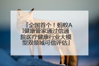 全国首个！蚂蚁AI健康管家通过信通院医疗健康行业大模型双领域可信评估
