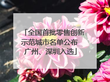 全国首批零售创新示范城市名单公布 广州、深圳入选