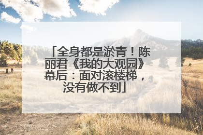 全身都是淤青！陈丽君《我的大观园》幕后：面对滚楼梯，没有做不到