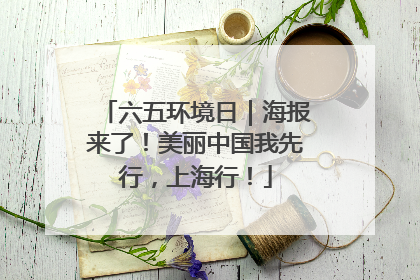 六五环境日｜海报来了！美丽中国我先行，上海行！