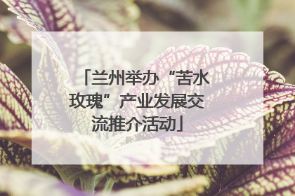 兰州举办“苦水玫瑰”产业发展交流推介活动