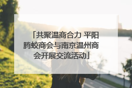 共聚温商合力 平阳腾蛟商会与南京温州商会开展交流活动