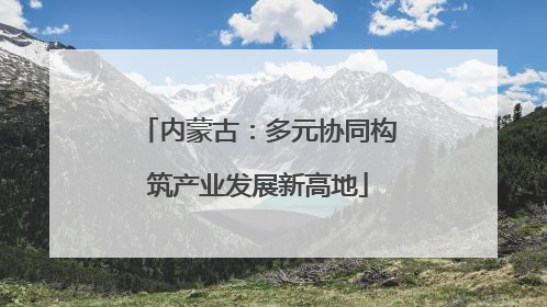 内蒙古：多元协同构筑产业发展新高地