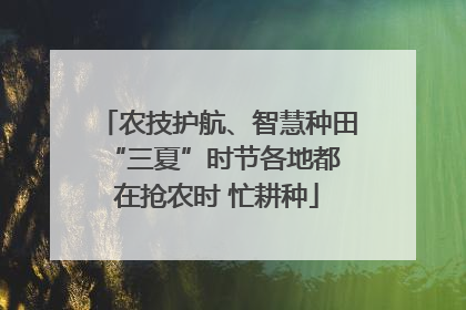 农技护航、智慧种田 “三夏”时节各地都在抢农时 忙耕种