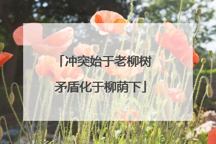 冲突始于老柳树 矛盾化于柳荫下