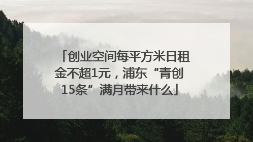 创业空间每平方米日租金不超1元，浦东“青创15条”满月带来什么