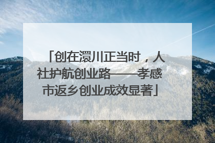 创在澴川正当时，人社护航创业路——孝感市返乡创业成效显著