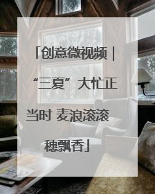 创意微视频｜“三夏”大忙正当时 麦浪滚滚穗飘香