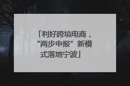 利好跨境电商，“两步申报”新模式落地宁波