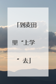 到麦田里“上学”去