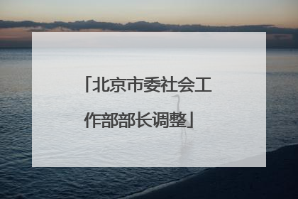 北京市委社会工作部部长调整