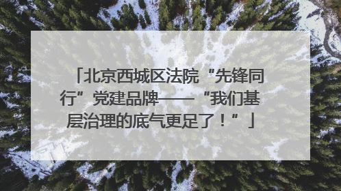 北京西城区法院“先锋同行”党建品牌——“我们基层治理的底气更足了！”