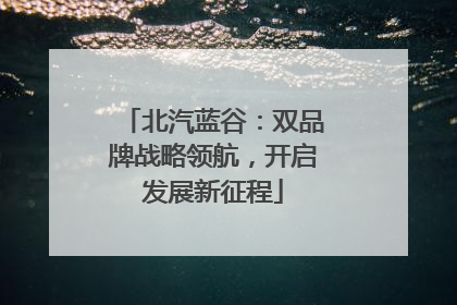北汽蓝谷：双品牌战略领航，开启发展新征程