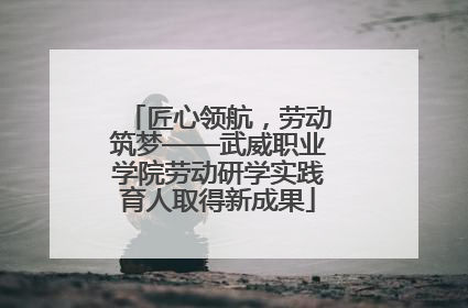 匠心领航，劳动筑梦——武威职业学院劳动研学实践育人取得新成果