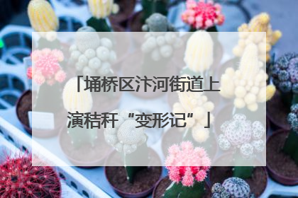 埇桥区汴河街道上演秸秆“变形记”