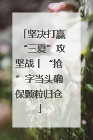 坚决打赢“三夏”攻坚战丨“抢”字当头确保颗粒归仓