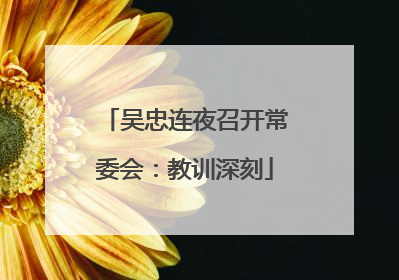 吴忠连夜召开常委会：教训深刻