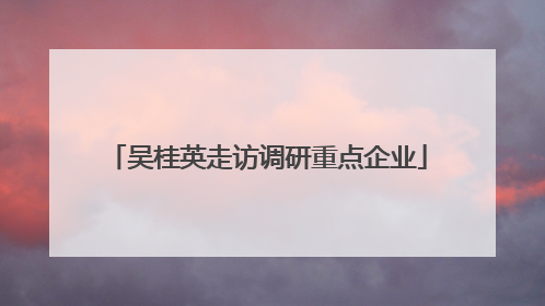 吴桂英走访调研重点企业