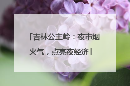 吉林公主岭：夜市烟火气，点亮夜经济