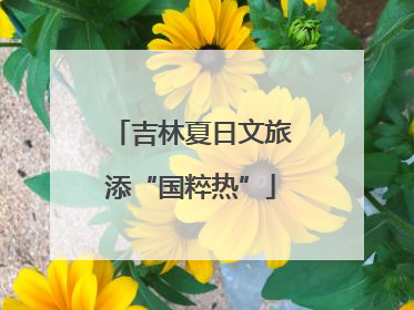 吉林夏日文旅添“国粹热”